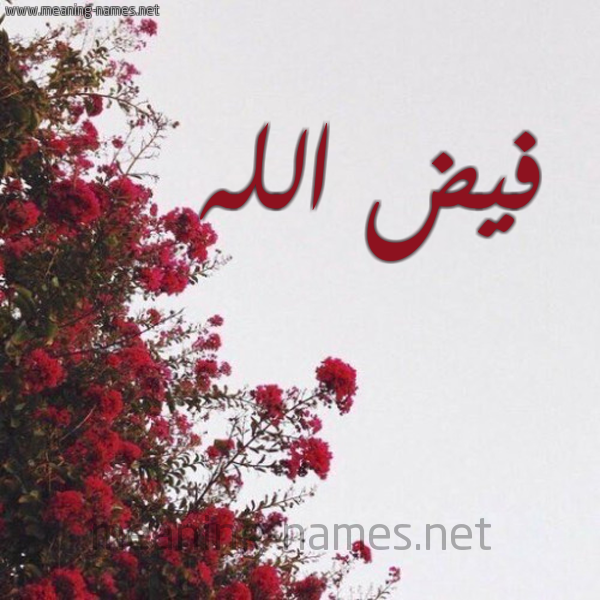 شكل 18 صوره الورد الأحمر للإسم بخط رقعة صورة اسم فيض الله Fayd-allah